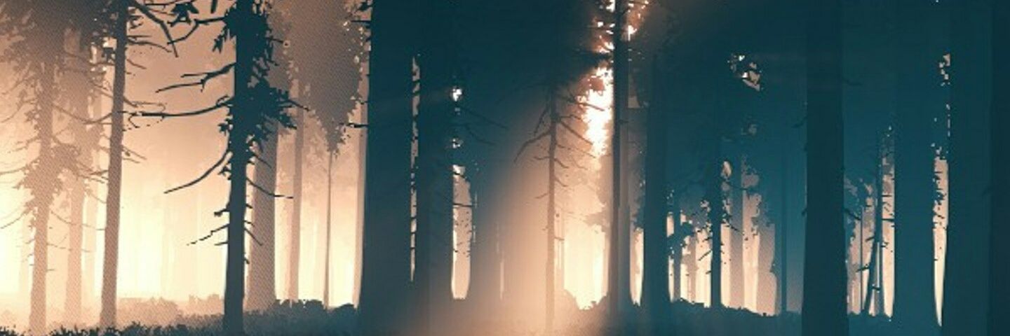 fernandez_sn125's profile banner image