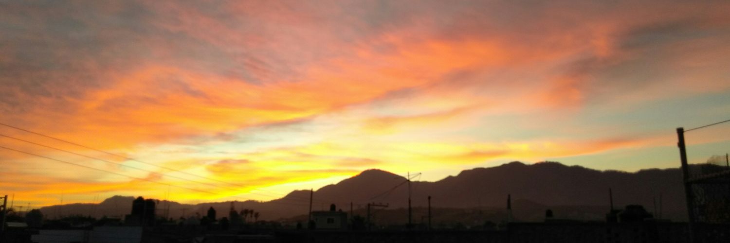 perro035's profile banner image