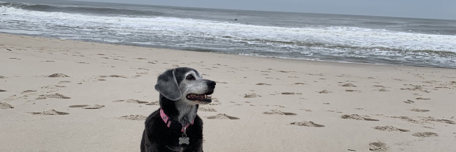 Jaclyn_Walsh's profile banner image