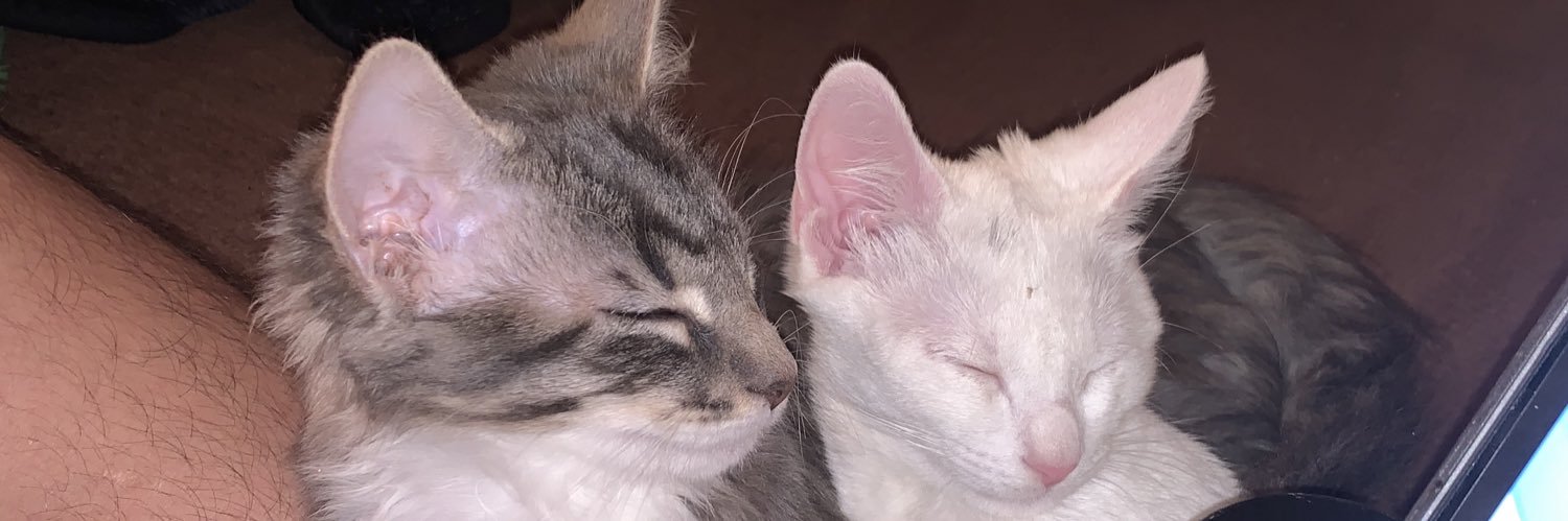 Ossskyy's profile banner image
