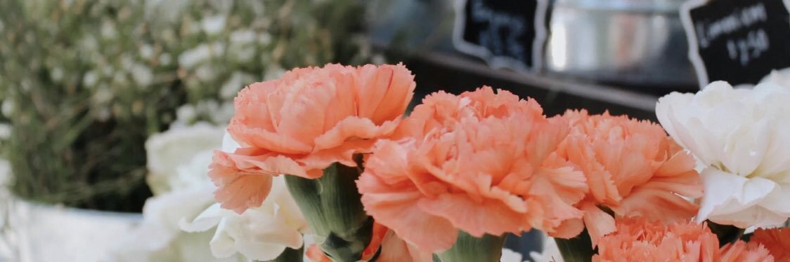 AshleyMetheny's profile banner image