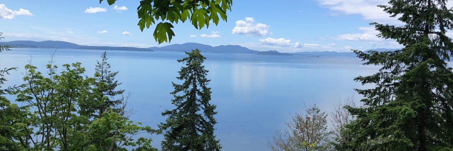 QuintardTaylor's profile banner image