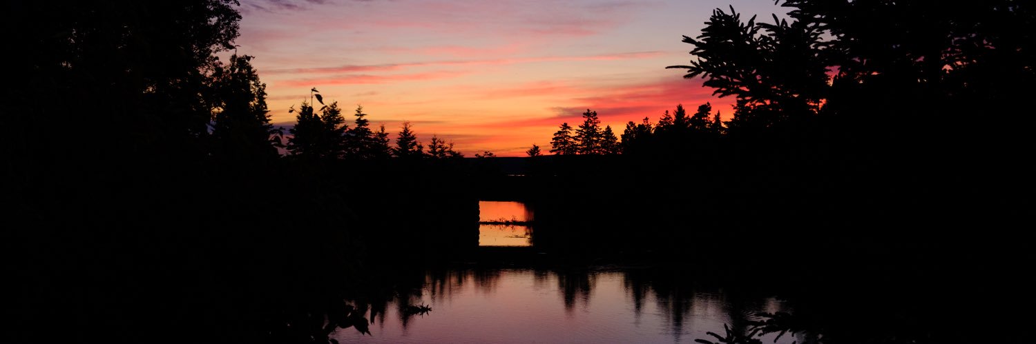 Matthew Ingraham banner