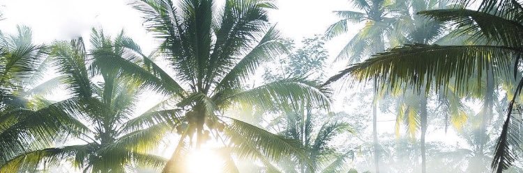 patricklopez123's profile banner image