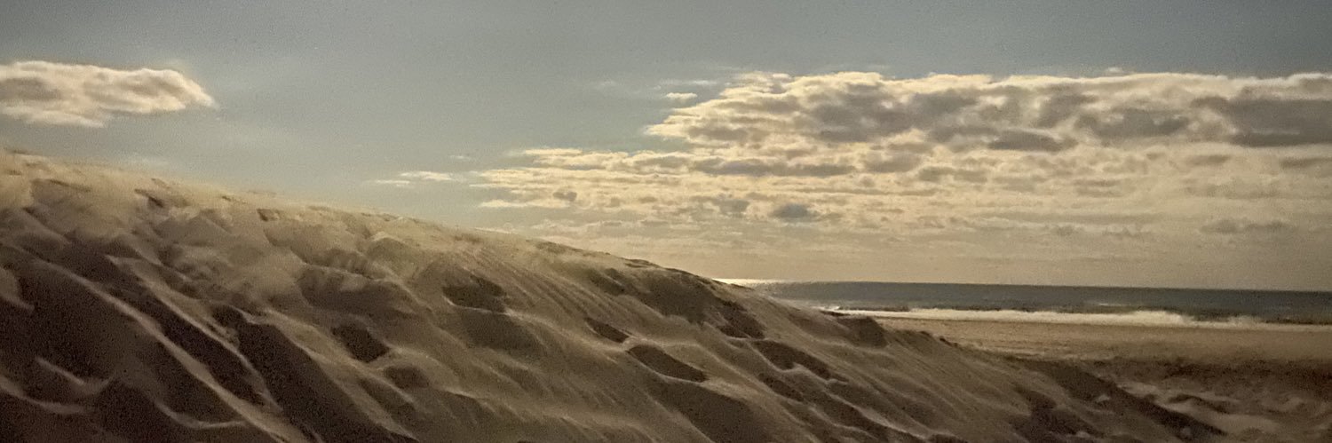 TheNerdyNurse💊Cat banner