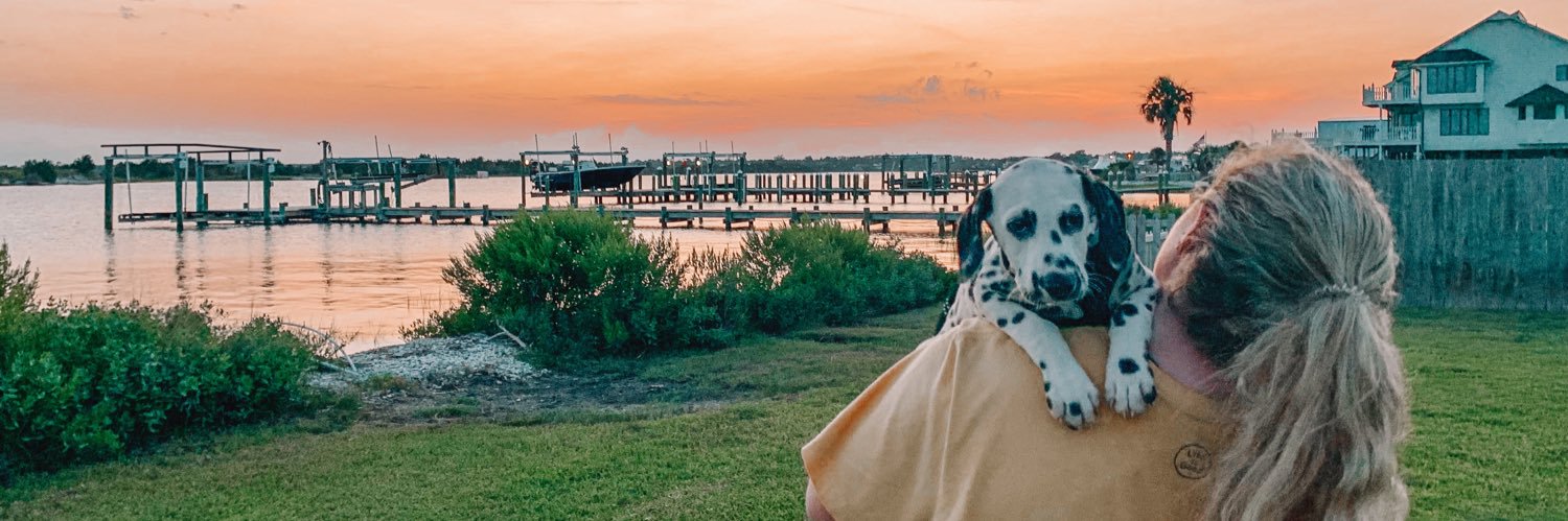 malpallll_'s profile banner image