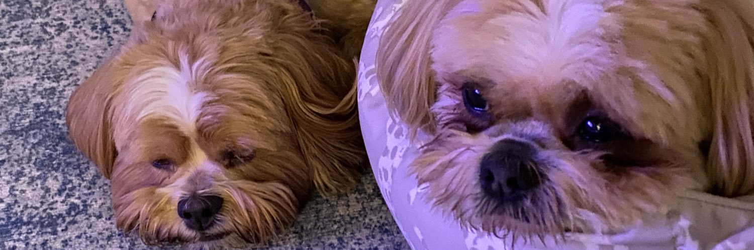 jjunieb's profile banner image