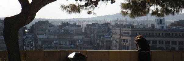 Arianna Scavetti banner