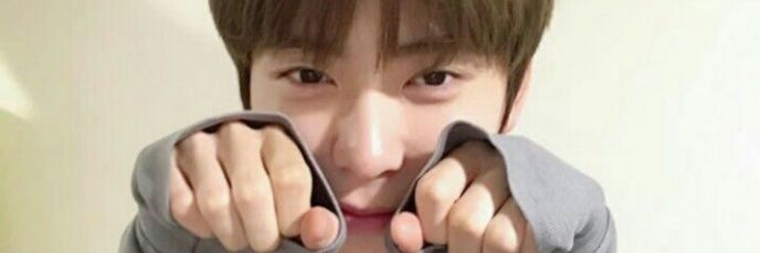 🍓 banner