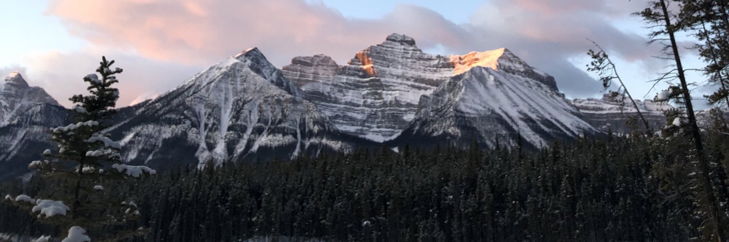 mega__berg's profile banner image