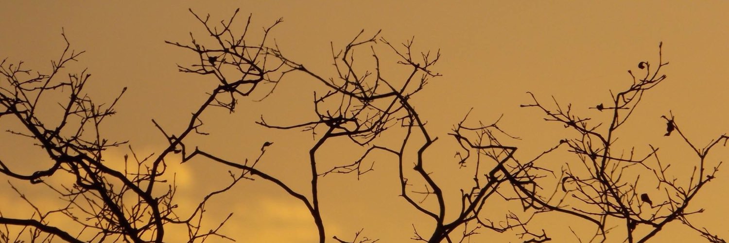 Ramom com M banner