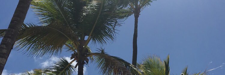 jayzabrina_'s profile banner image