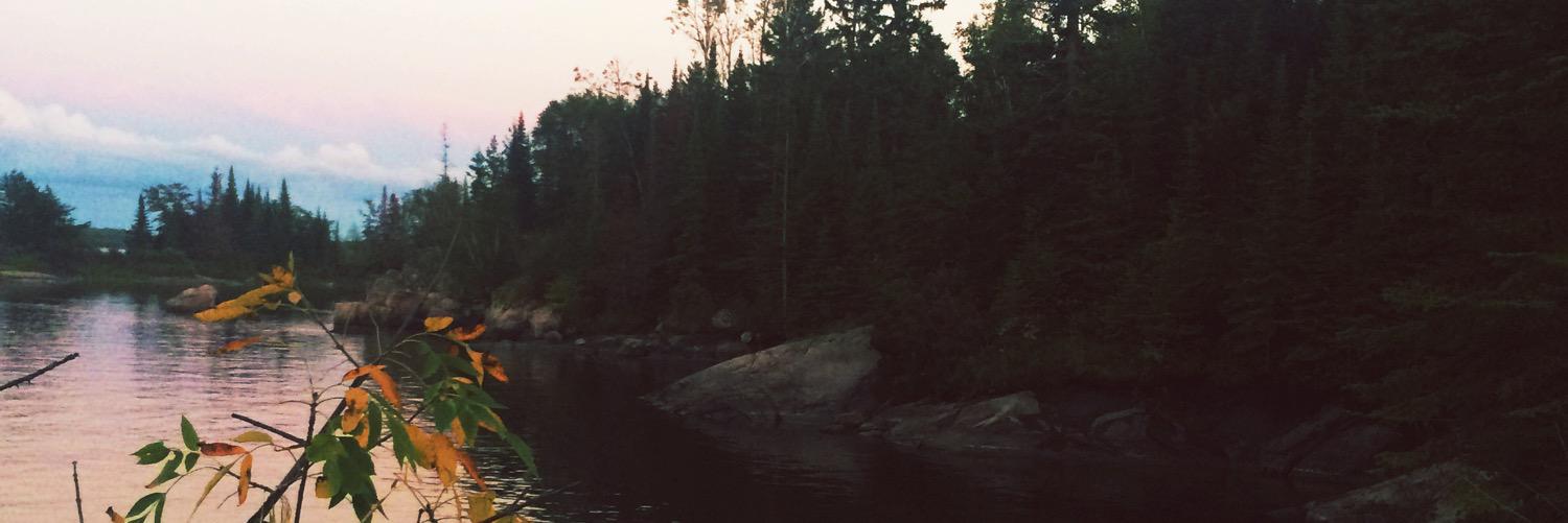 missylaf's profile banner image