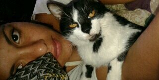 rueda_rox's profile banner image