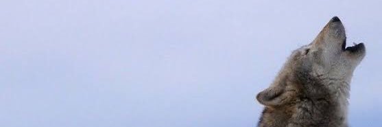 07Okar's profile banner image
