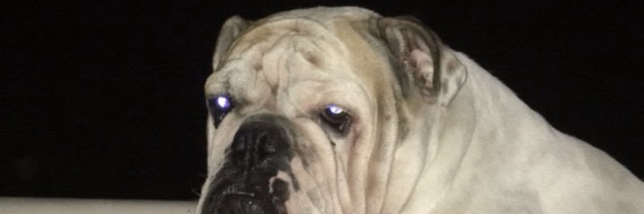 TonyYuuu's profile banner image
