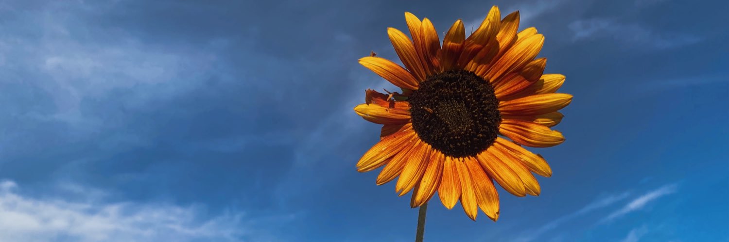melissabballtx's profile banner image