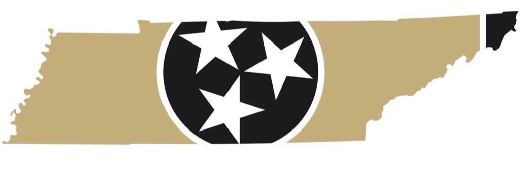 Melinda Williams banner