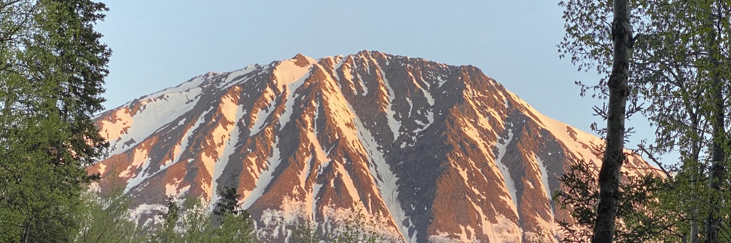 suebeeak's profile banner image