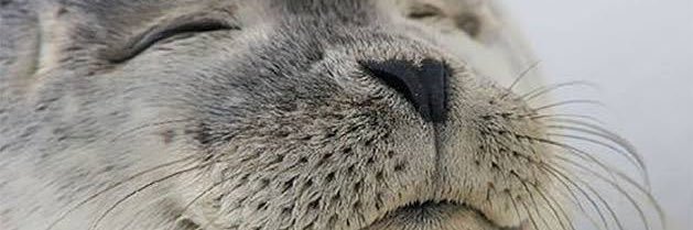 ktspdx2's profile banner image