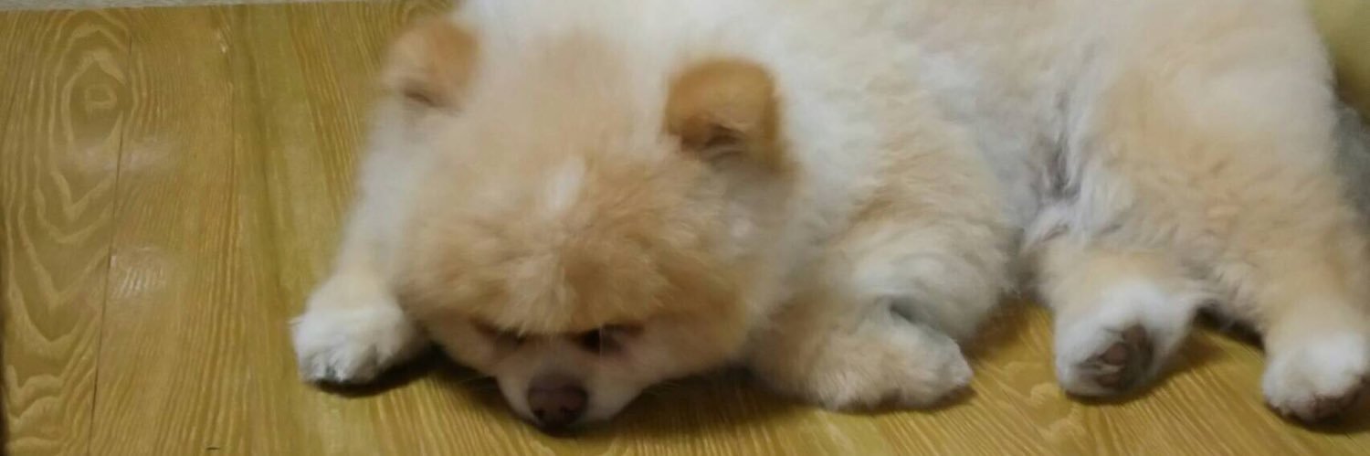 keysuke's profile banner image