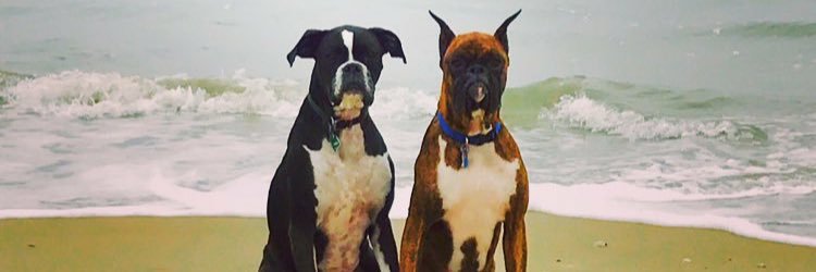 ericmorris66's profile banner image