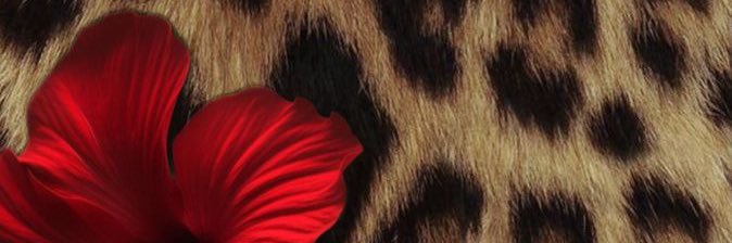 JAYPOP ᥫ᭡ banner