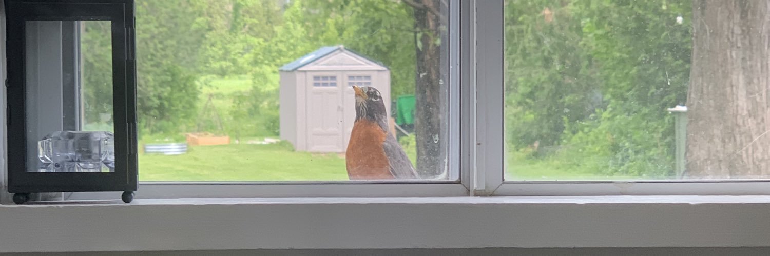 Heidi (Resister)🇨🇦 🐈‍⬛💙🦋 banner