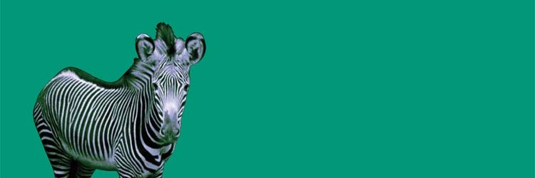 Michael Tedder banner