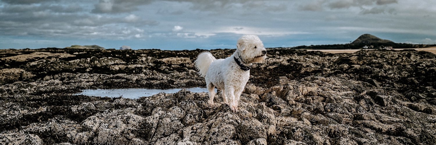Derek Christie banner