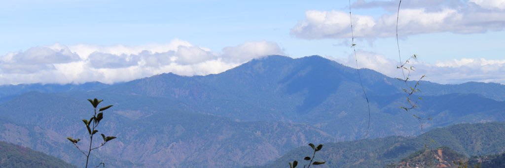 reversedpsych's profile banner image