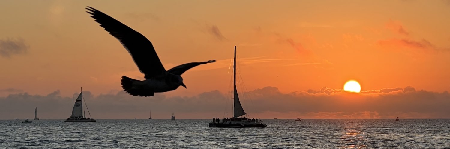 Laureen Powell banner