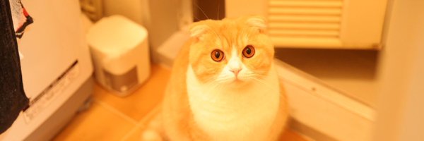 u_v_u Profile Banner