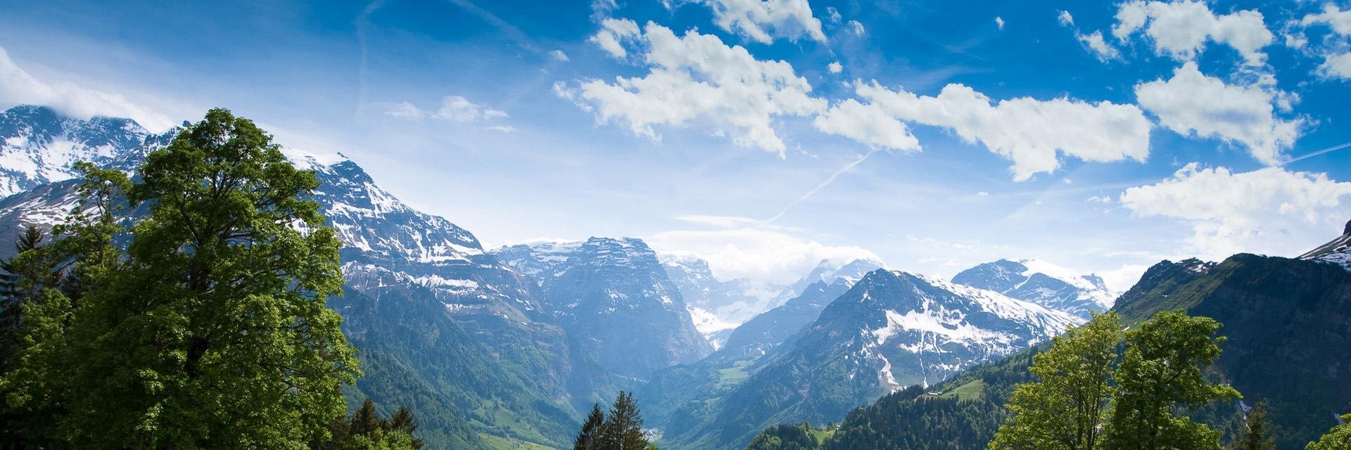 ml_larsen's profile banner image