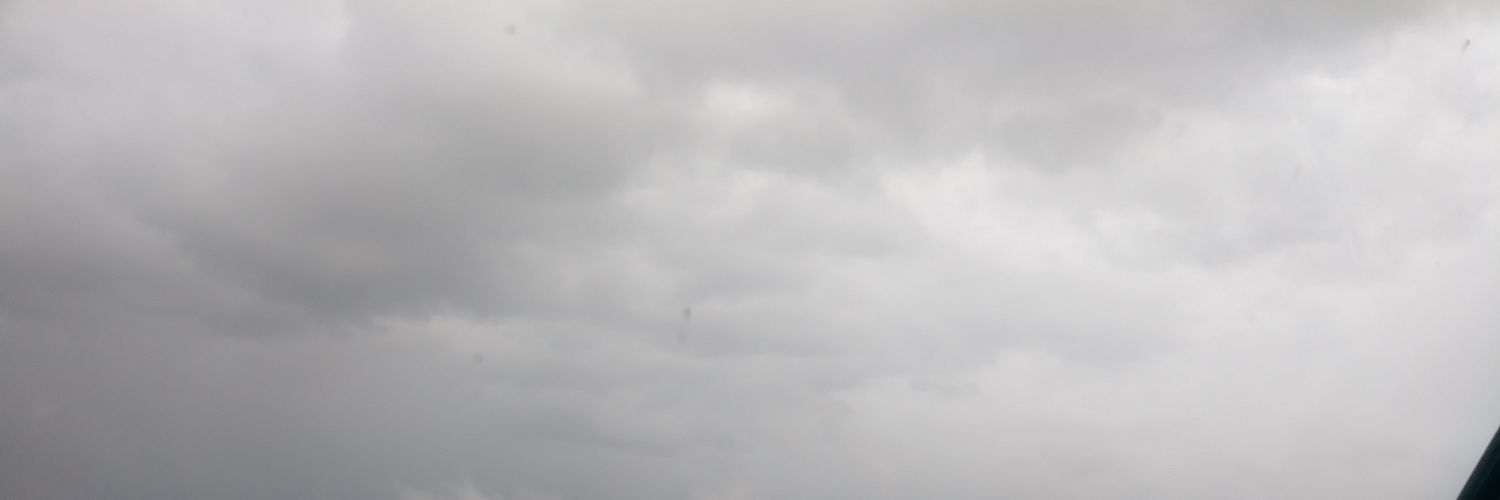 LogicallyRaizel's profile banner image