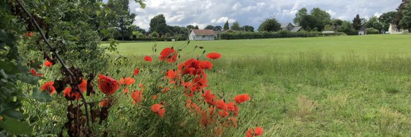 AlmeleyCC Profile Banner