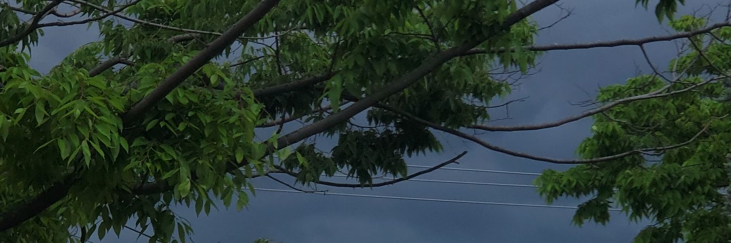 Feathersperch's profile banner image