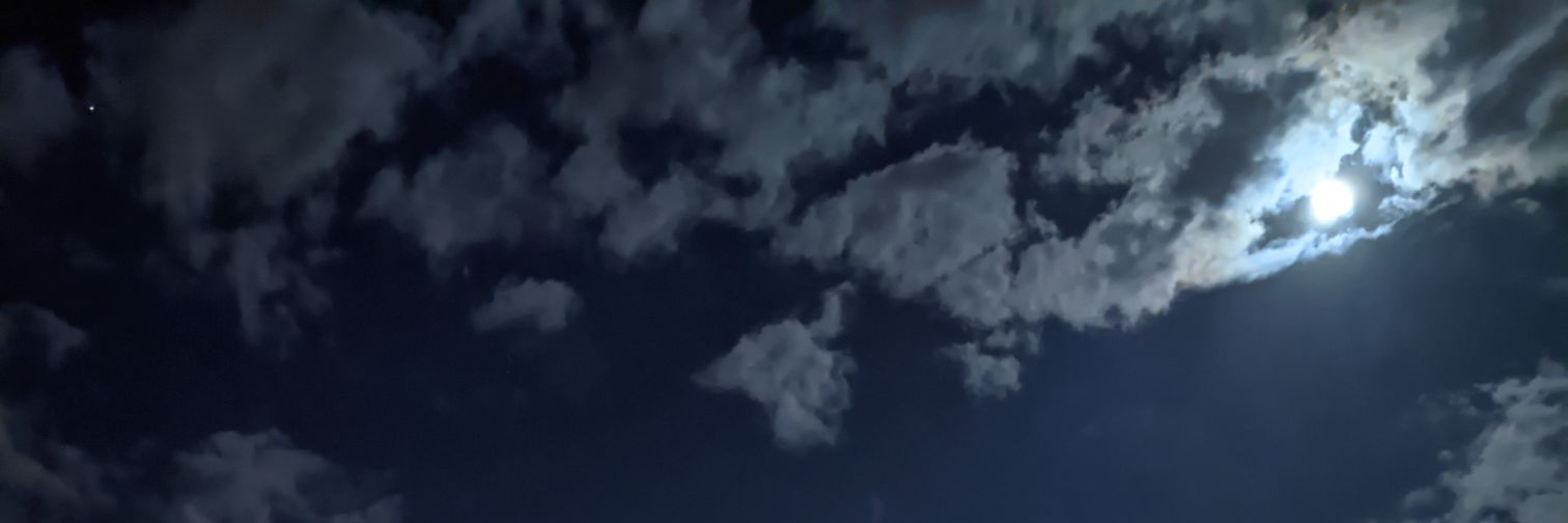 ellbarlt's profile banner image