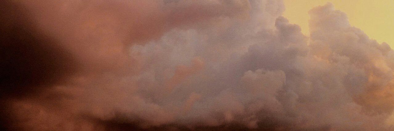wolfylarson's profile banner image