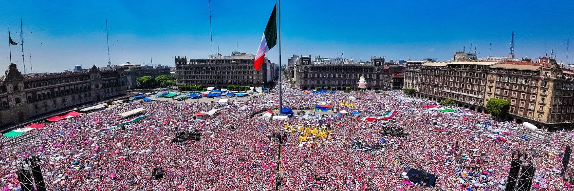 🫘Semilla de Mostaza banner