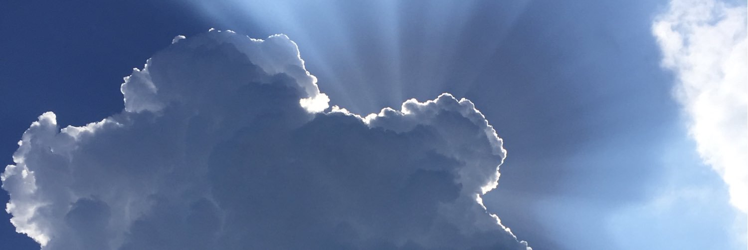 barbaragappa's profile banner image
