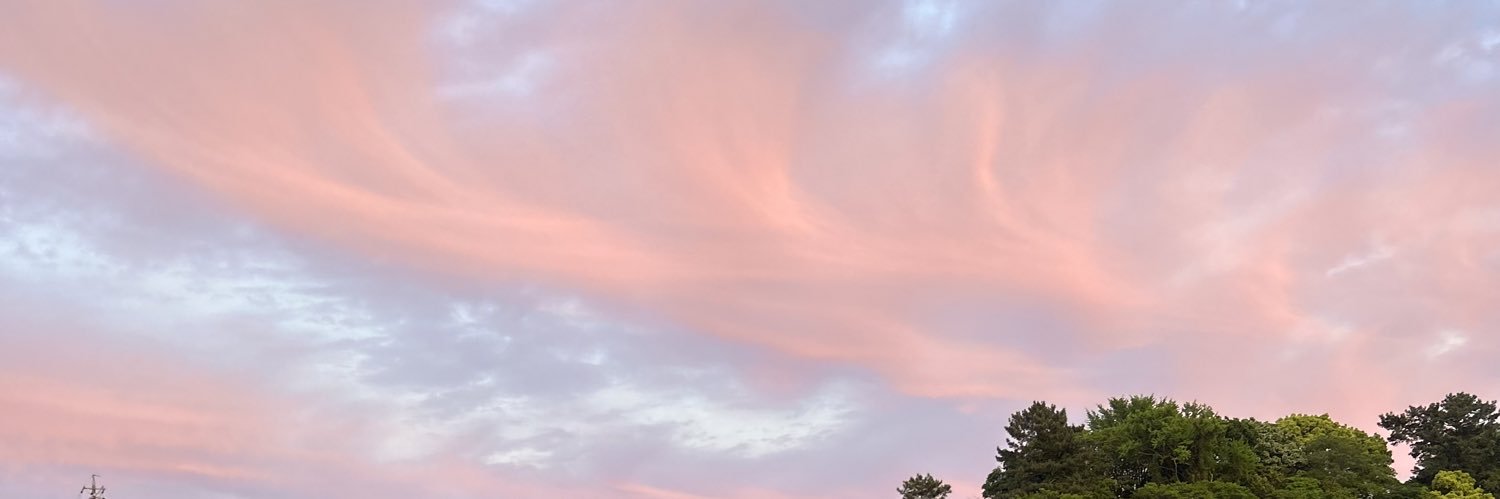 mamaipuu's profile banner image
