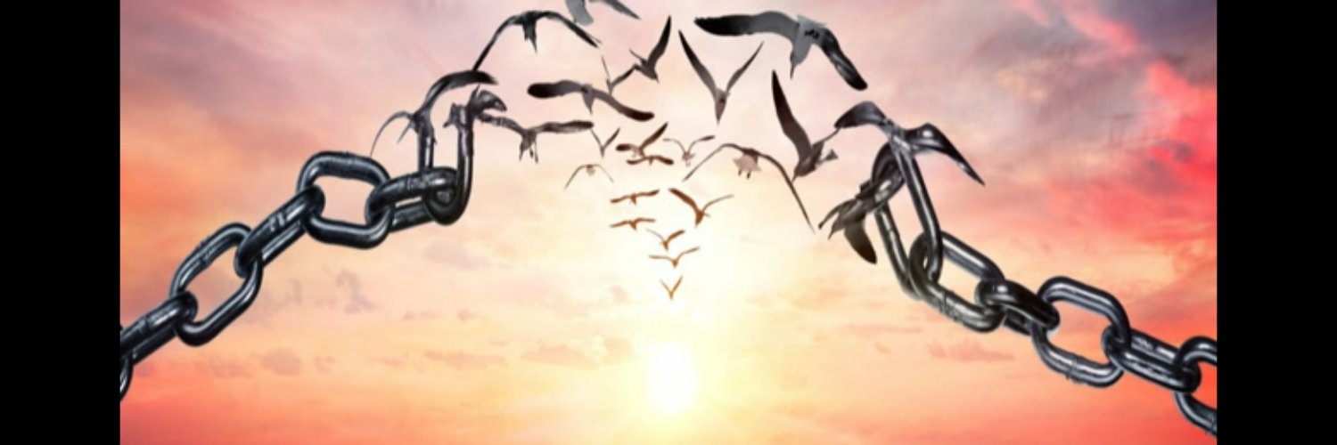 FatihBozac's profile banner image