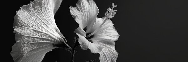 ryadrian95 Profile Banner