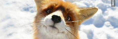 NARU_ASF's profile banner image