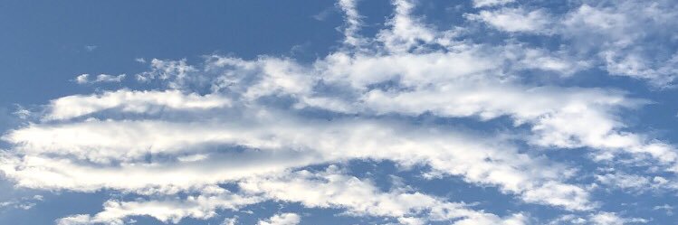 varrent natasya banner