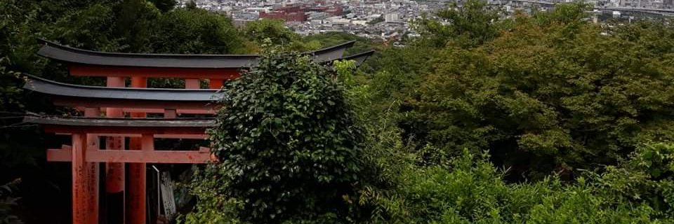 jerryv20's profile banner image