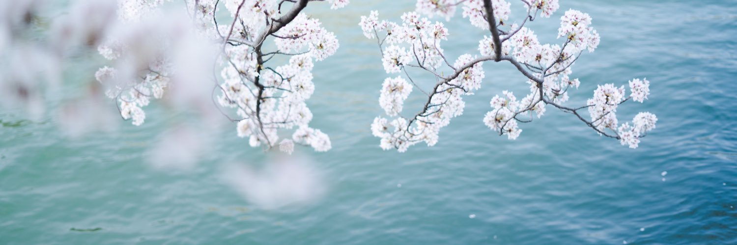 moe_h26's profile banner image