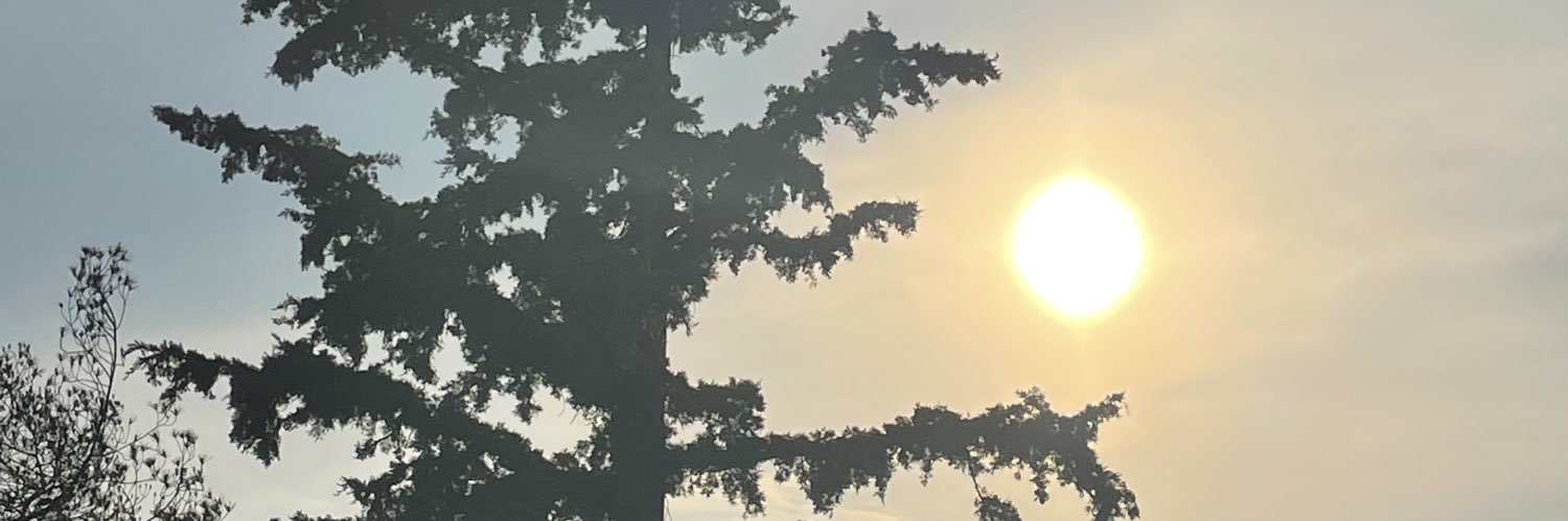 sophy_03's profile banner image