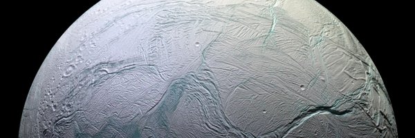 dave_daves Profile Banner